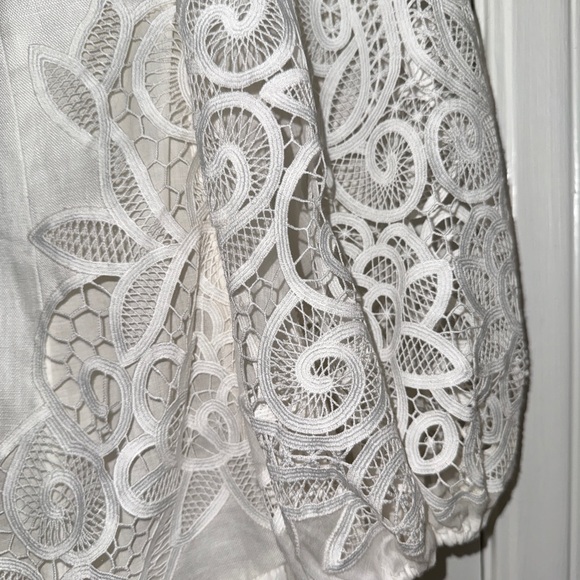 Zimmermann Mae Lace Mini Dress - Picture 6 of 12